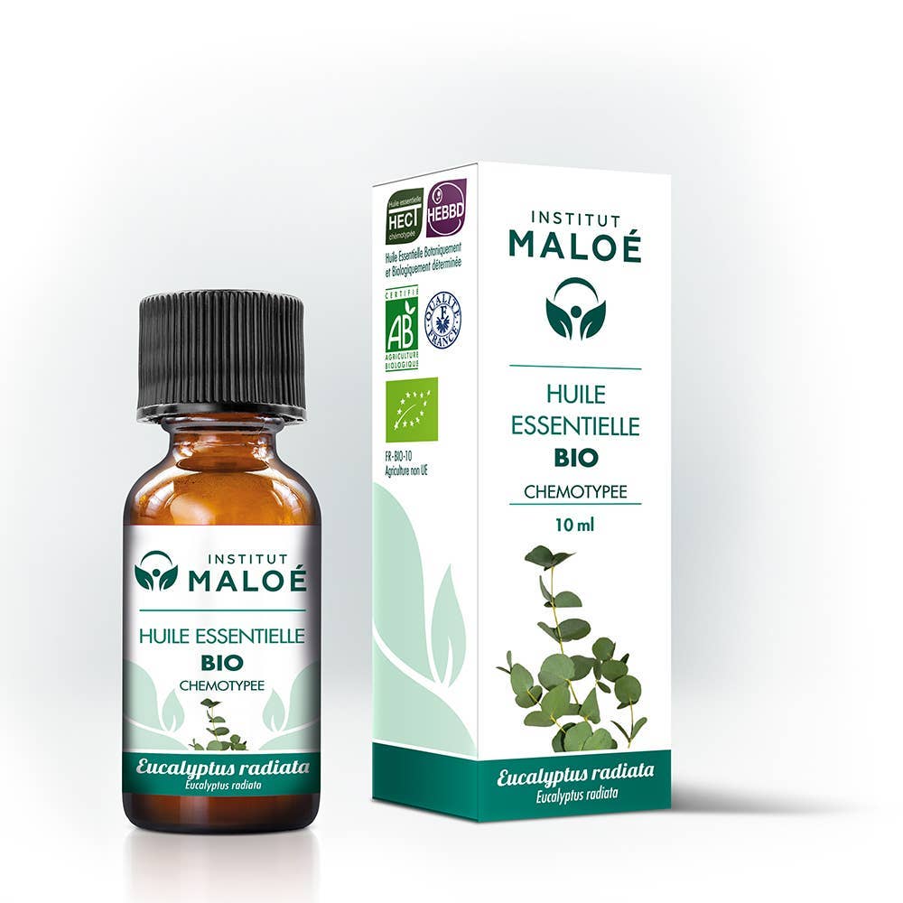 Økologisk Eucalyptus Radiata æterisk olie - 10 mL - Aromaspecialisten